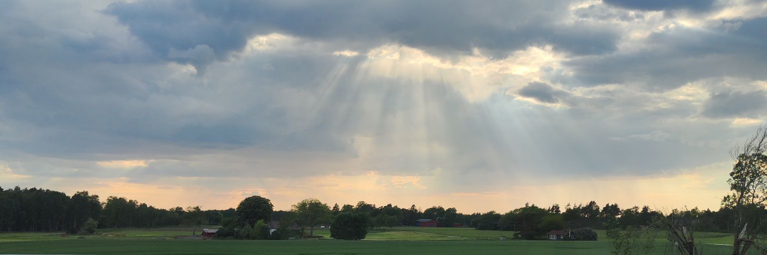 BarbaDuci's profile banner image