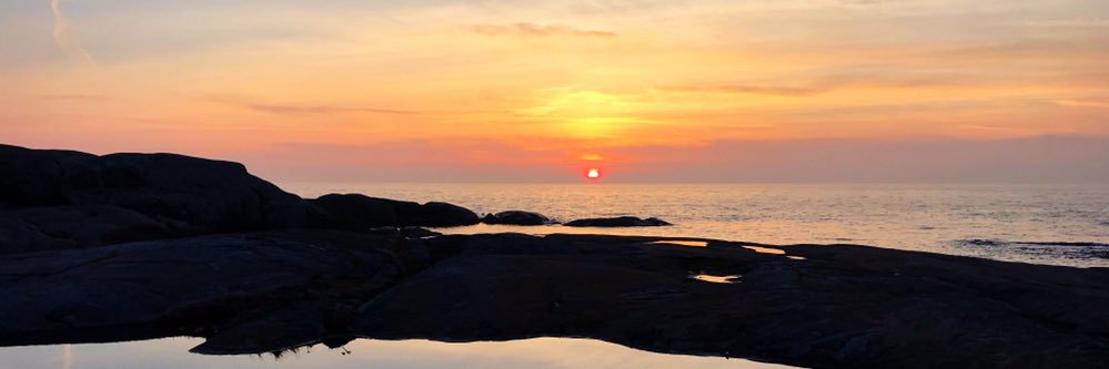 Anna Karlefjärd banner