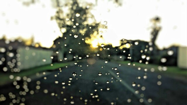 Rubby_Roo's profile banner image