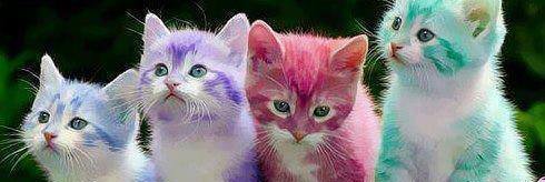 sandrobeltrami's profile banner image
