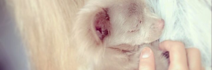 FournierJessic4's profile banner image