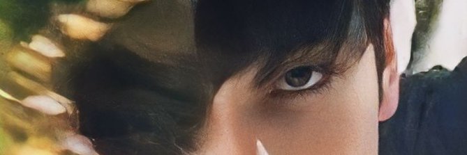 FallForApo's profile banner image
