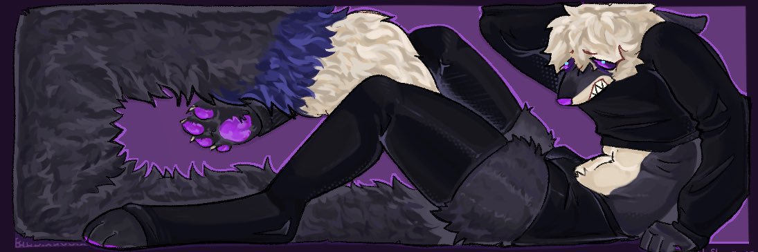 xavier banner