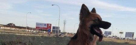 fernandoyanguit's profile banner image