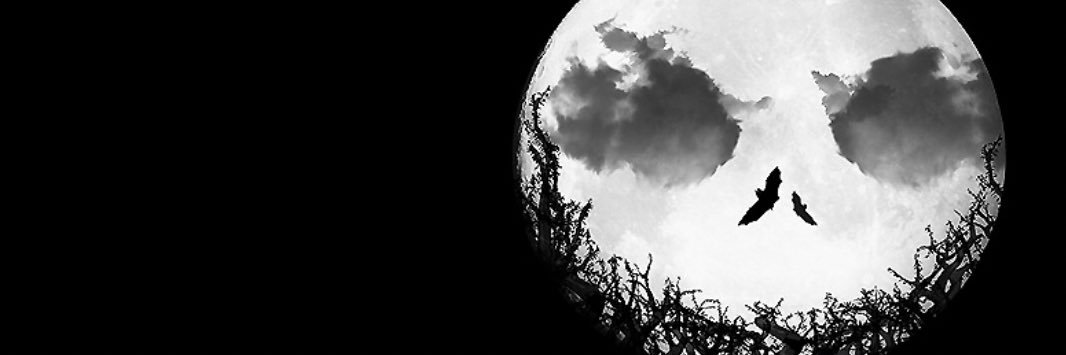 CoolerHand_Luke's profile banner image