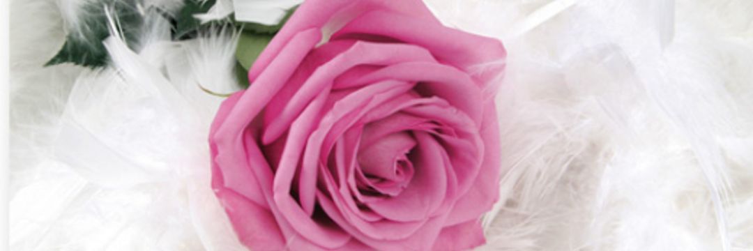 ️نجلاء❤️ banner