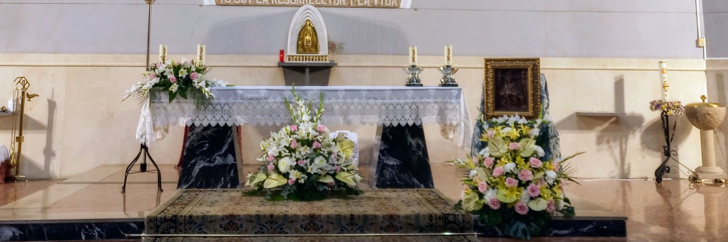 SantaMartaPuzol's profile banner image