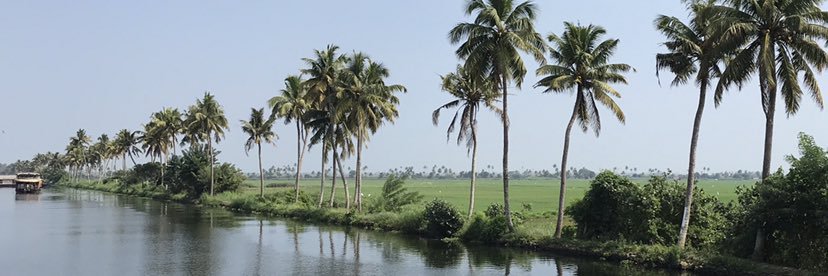HortenseNicolet's profile banner image