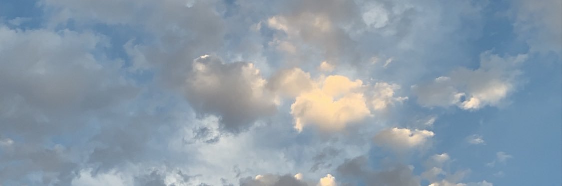 pedroloquesea's profile banner image