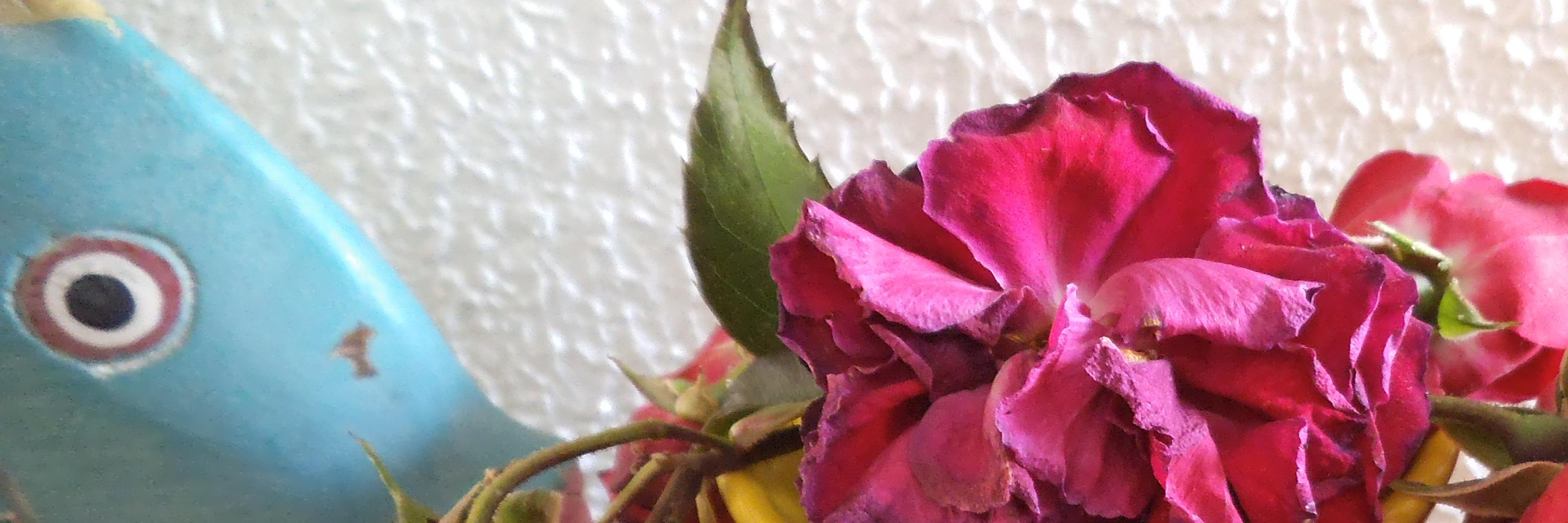 Antonis__C's profile banner image