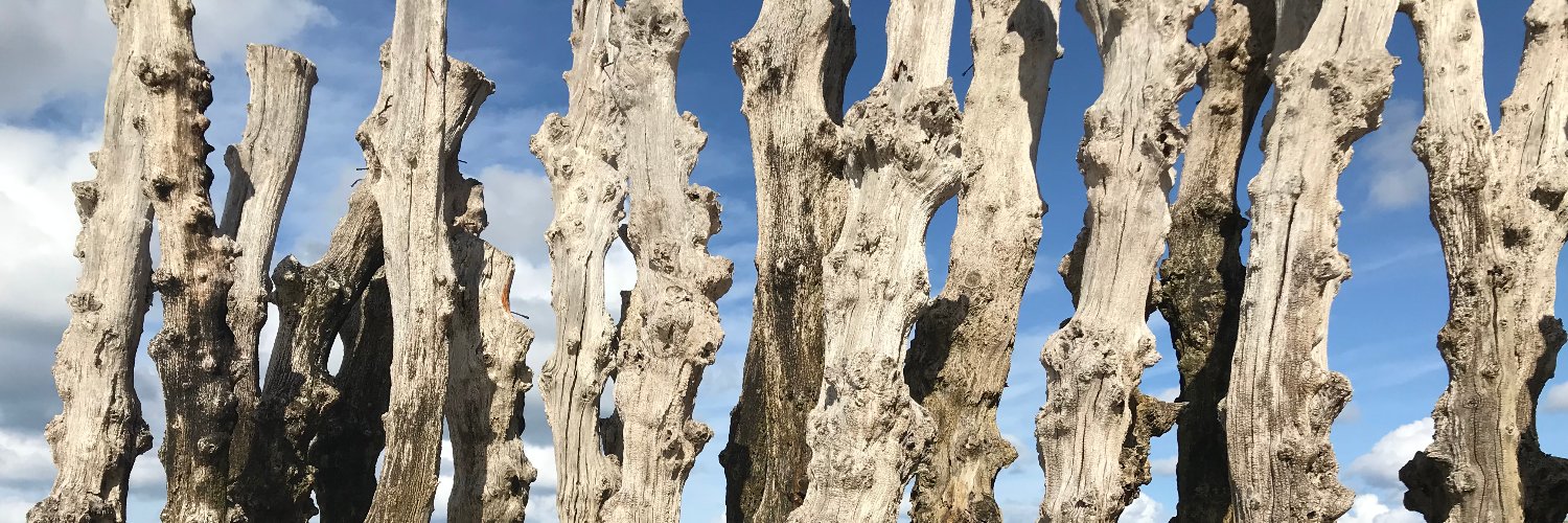 Andy Smart 💙 banner