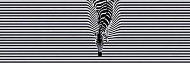 FernandoTami1's profile banner image
