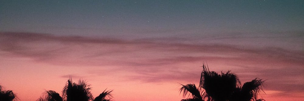 MartinPLeal's profile banner image