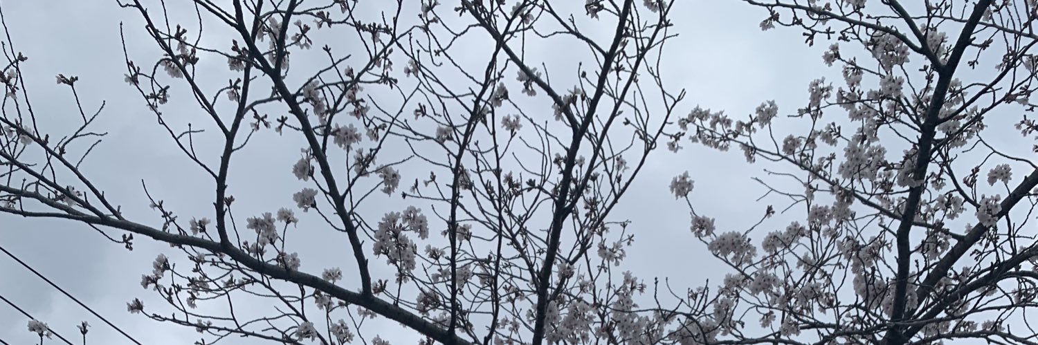 Ruu6pry's profile banner image