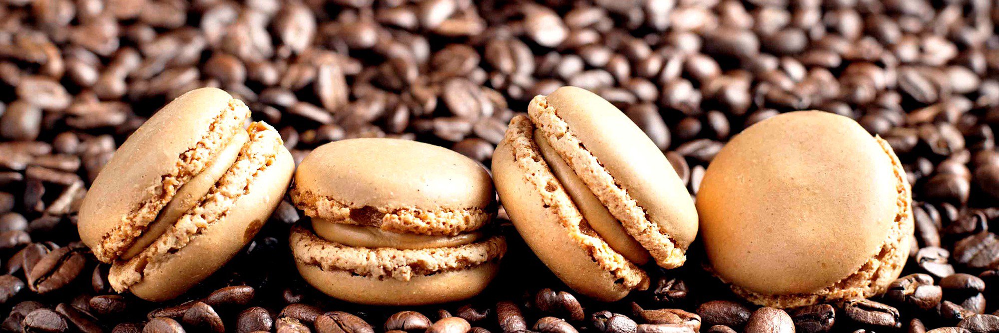 MoreAndCoffee's profile banner image