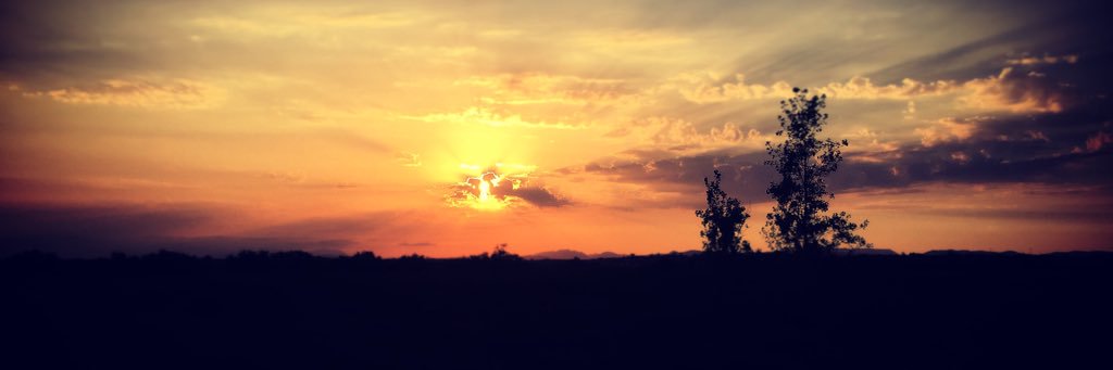 alexou0810's profile banner image