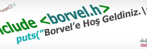 Borvelsoft's profile banner image