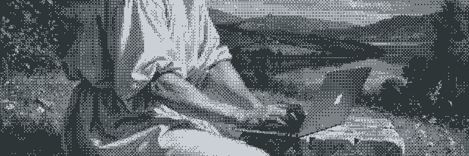 Alexis Tacnet banner