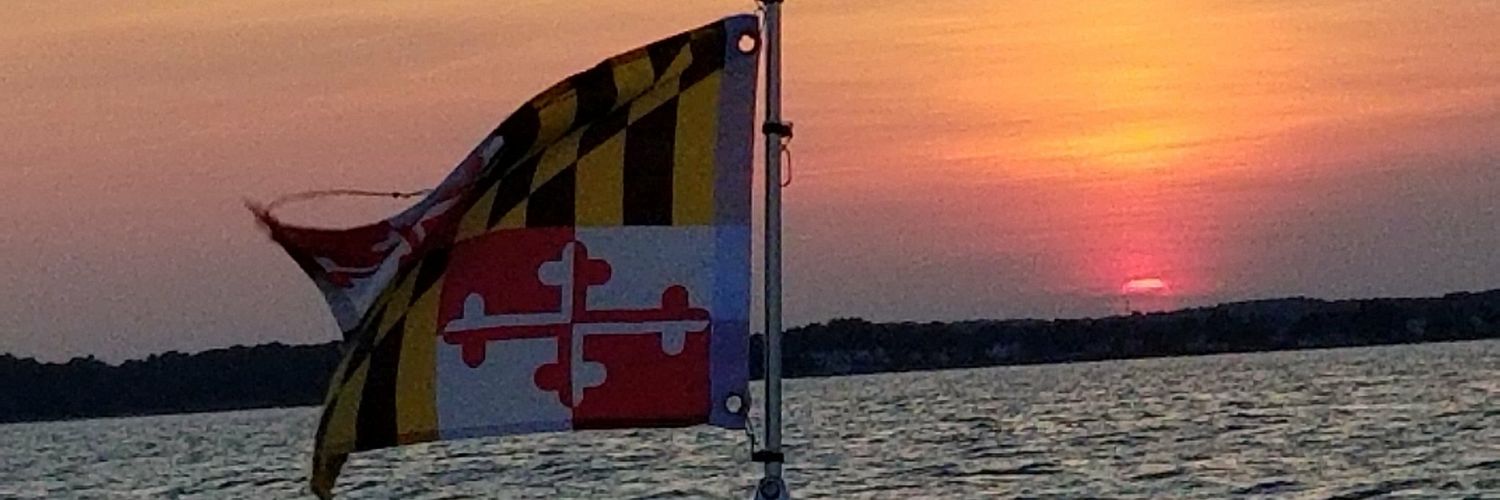 gfueston's profile banner image