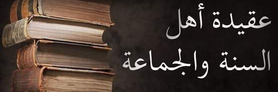 Cheikh Ya Fall banner