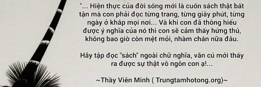 Duy Phong banner