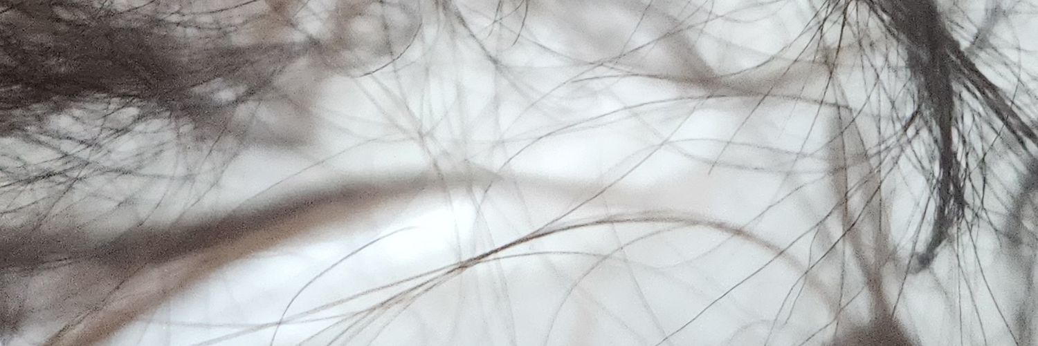 ImJustABigApe's profile banner image