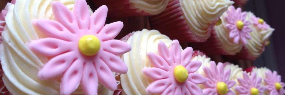 Charl0ttescakes's profile banner image