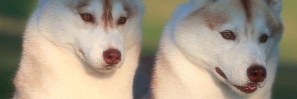 marcralsky's profile banner image
