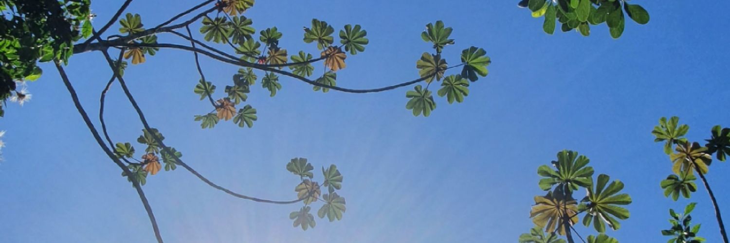 renatouga's profile banner image