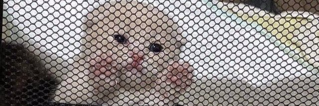 anunluckyone's profile banner image