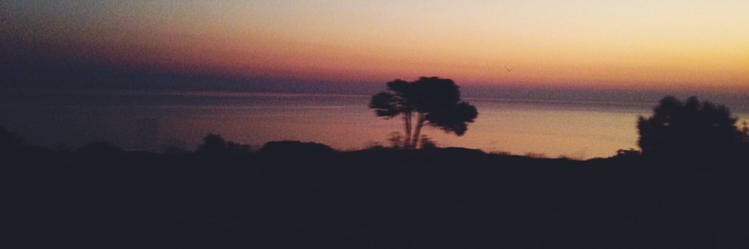 ayamuos_'s profile banner image
