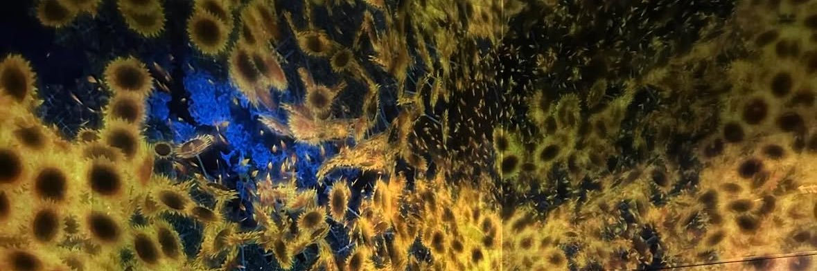 beatitudevv's profile banner image