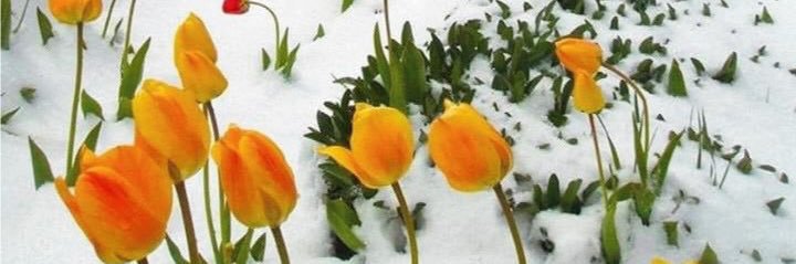 angie674's profile banner image