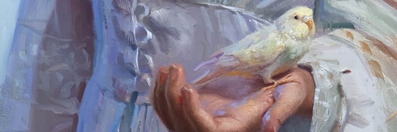 dimizeynep's profile banner image