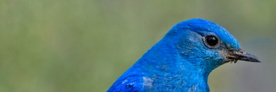 Top20StartUps's profile banner image