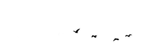 _zjs's profile banner image