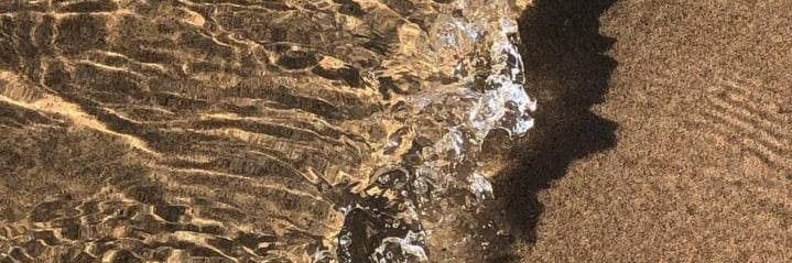 HananNov's profile banner image