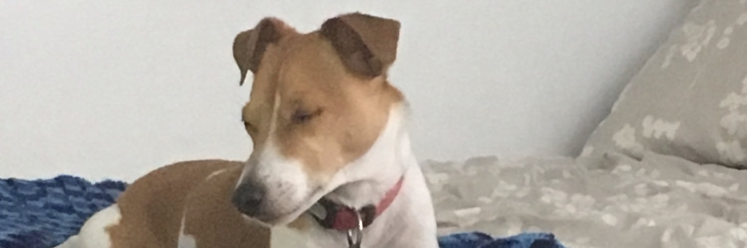 sagerlm's profile banner image