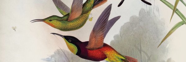 pablo_dulce Profile Banner