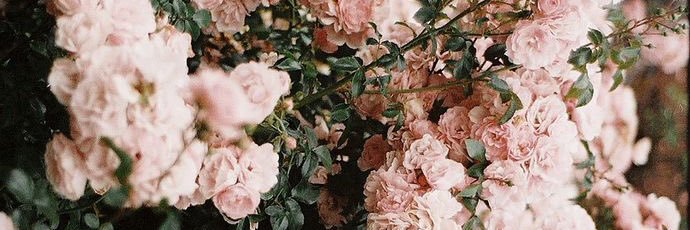 teighlorkearney's profile banner image