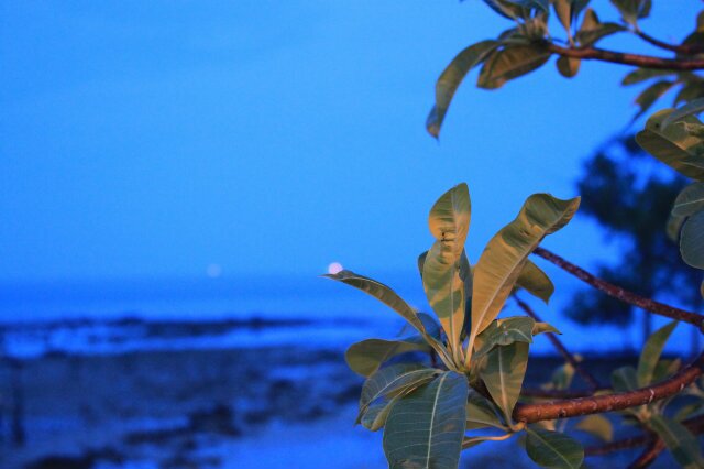 MuhammadAriiif's profile banner image