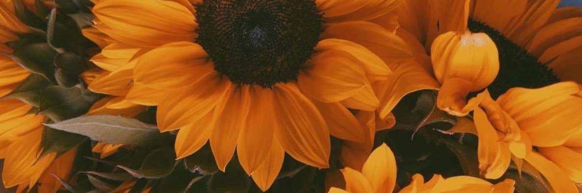 🦁 banner