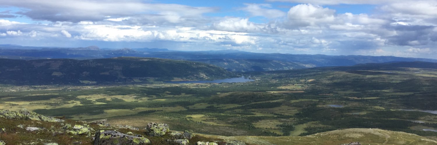 KariMagelssen's profile banner image