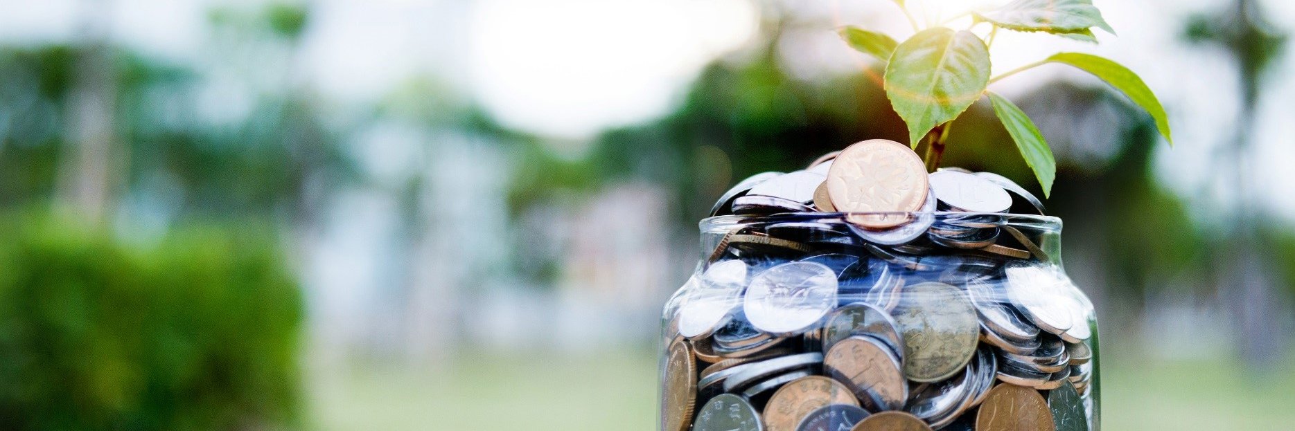 Monika Müller banner