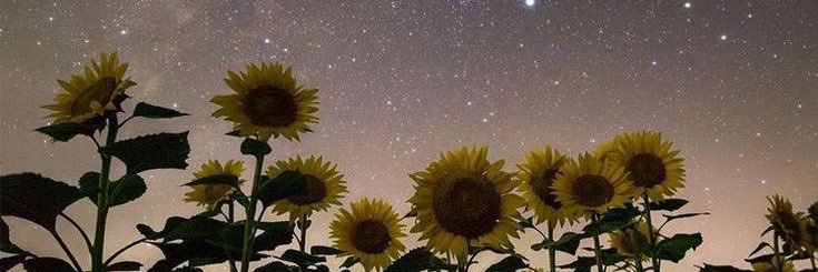Fatiwakis's profile banner image