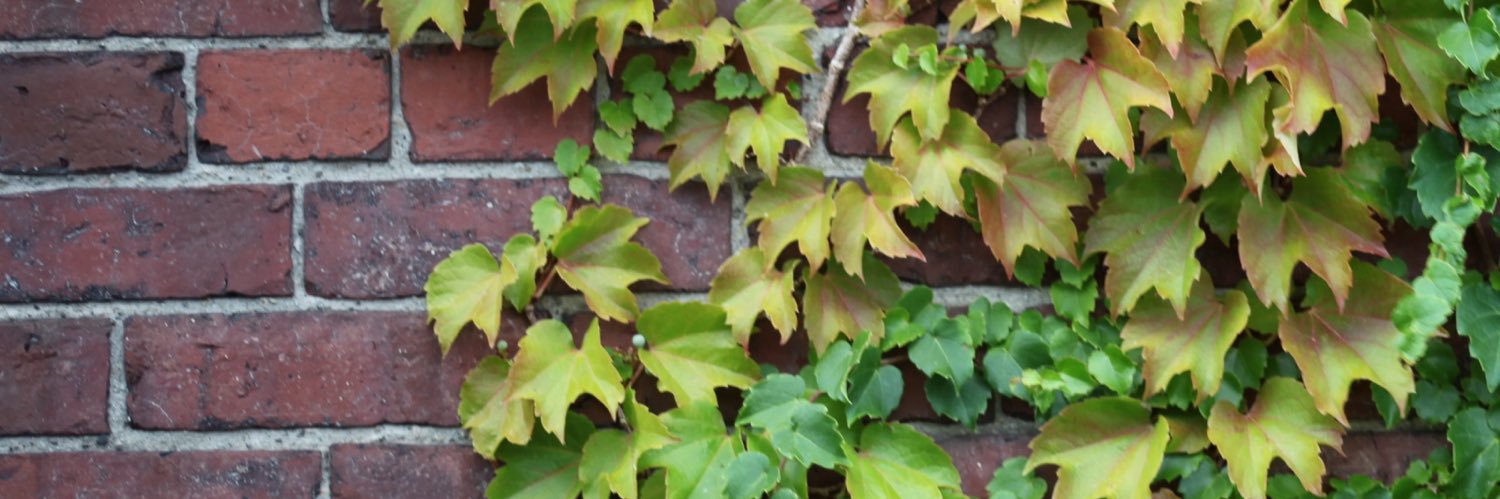 Twokeyy1's profile banner image