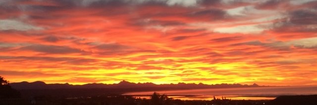 susanscottsa's profile banner image