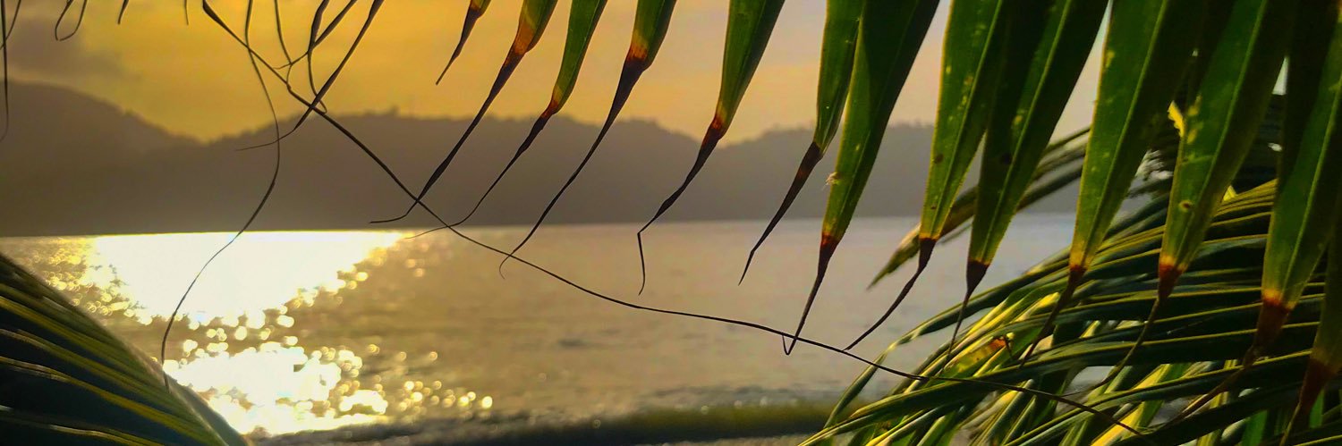 reiaramdial's profile banner image