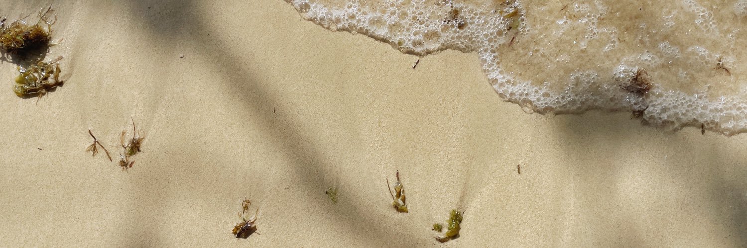 reeeeeyben's profile banner image