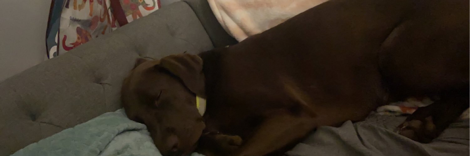 HaleyMcgraw's profile banner image
